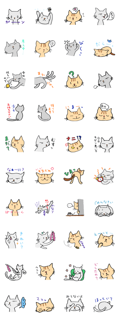 Amusing Cats! Amusing Cats!