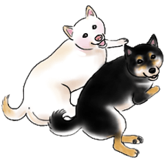 Black-Shiba and White Shiba Dog Sticker