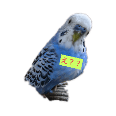 SAYURI_20200306204700