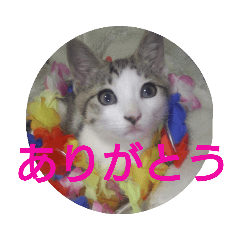 miyuu_20200306203940