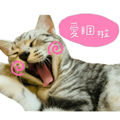 小笨米貼圖二代認真版本