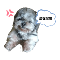 寶寶好棒