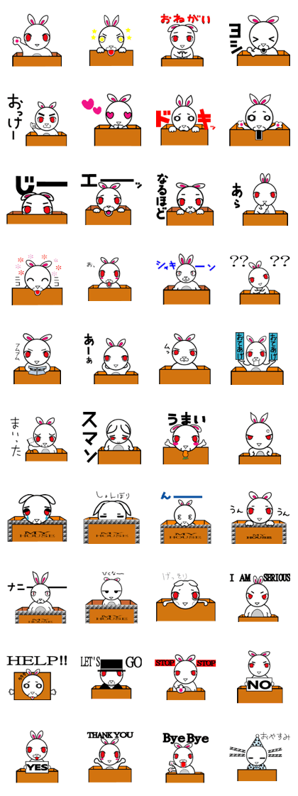 boxed rabbit rabi