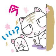 His name is " Waru-nyan"!