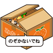 Box daughter