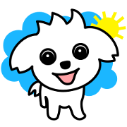 Always Maltese