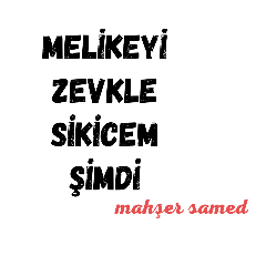 SAMED-ANLK'1