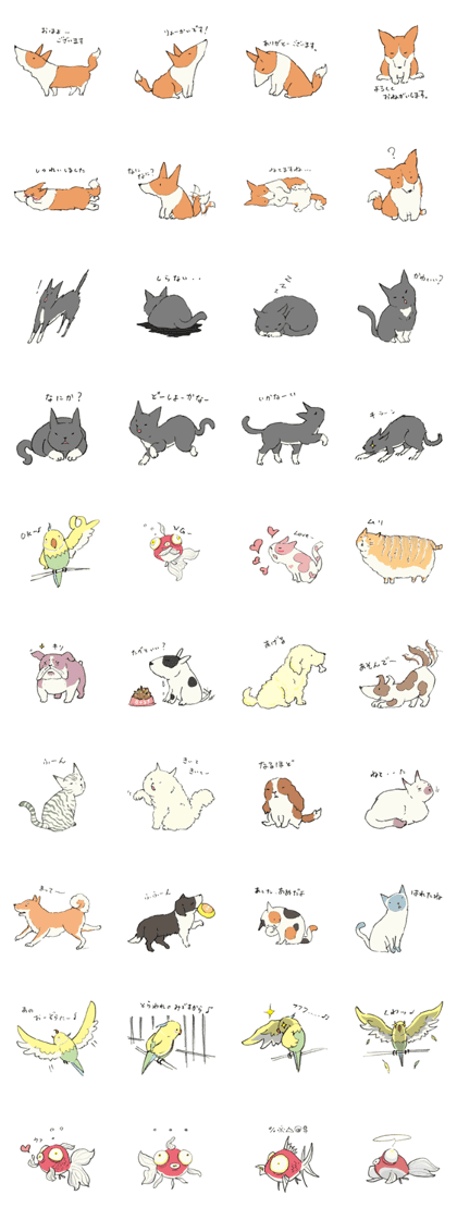 Tail Corgi and black cat and its friends