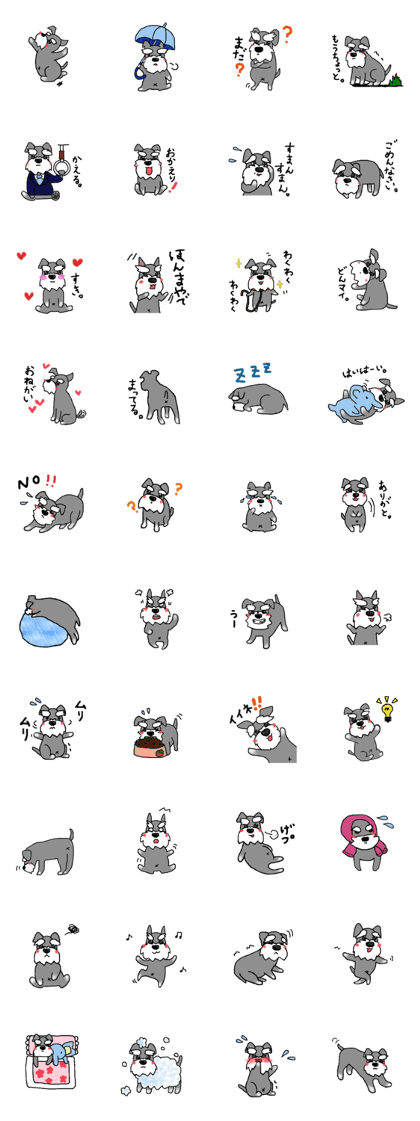 Miniature Schnauzer, Shizukutan.