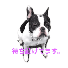 marina_20200307000336