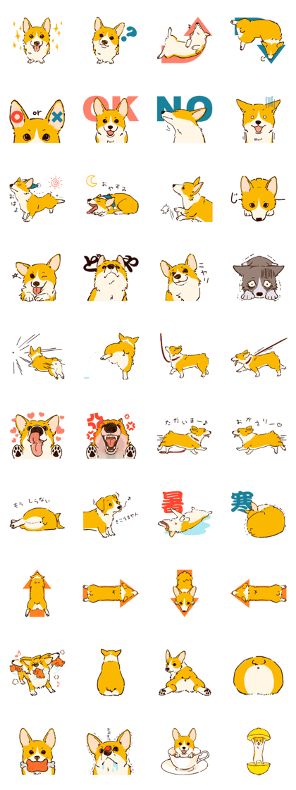 Corgi Tea Time