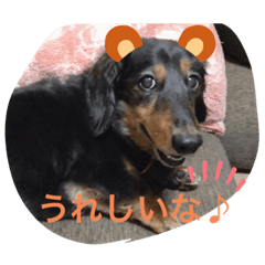 risa_20200306234957