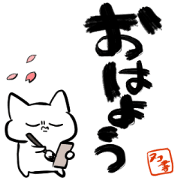 witty cat 13 hello