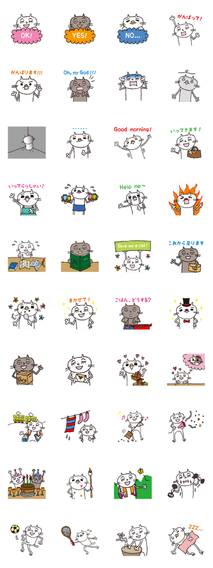 Kojiro of a white cat 2
