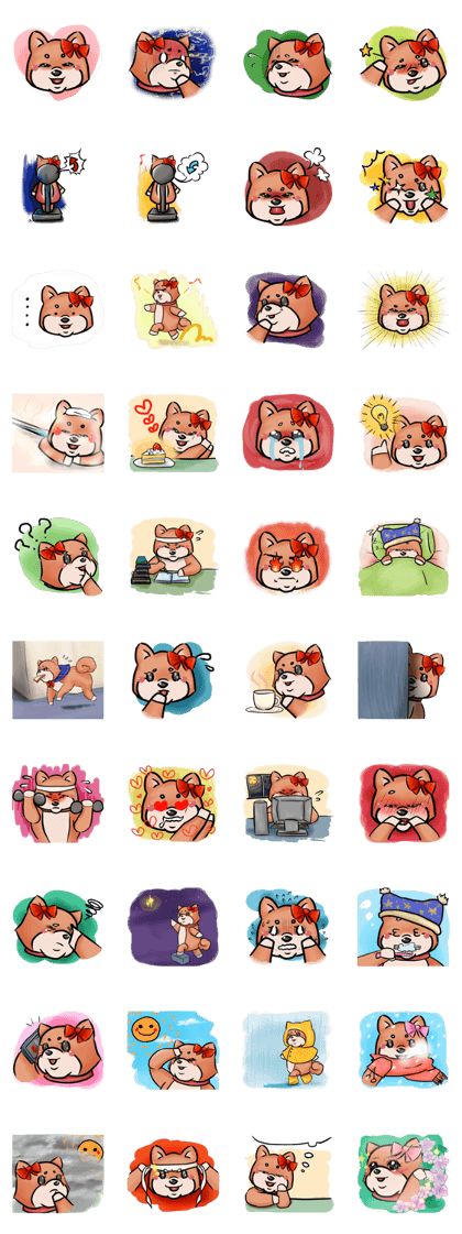 Cute Chubby Shiba Inu