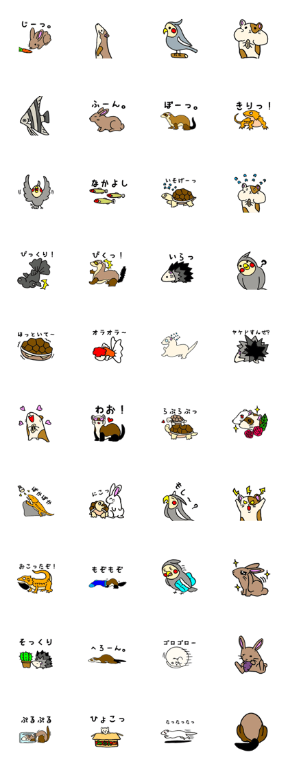 SmallAnimals