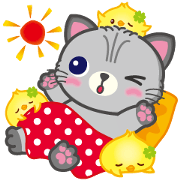 Munchkin Cat! Emotions!!