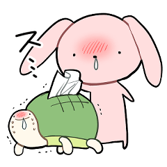 Rabbit and turtle with hay fever