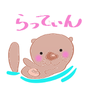 Sea otter RATTIN