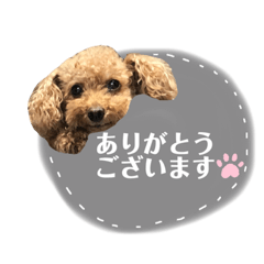 Rina_moka