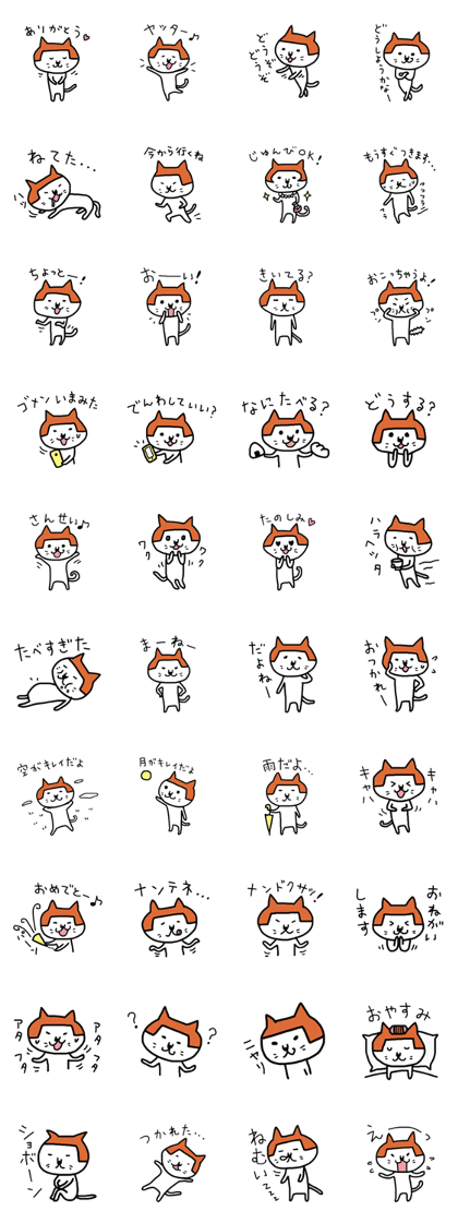 okappa cat
