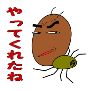 Daily Kumosuke