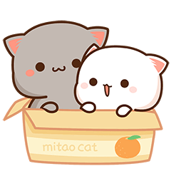 Peach Cat 6