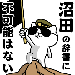 "NUMATA"name/Military cat