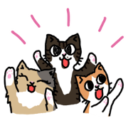 my cats vol.1