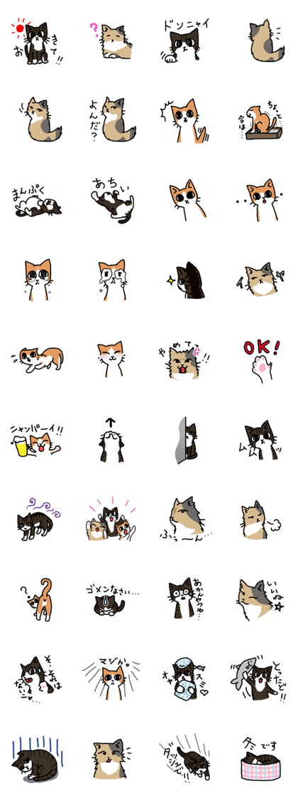 my cats vol.1
