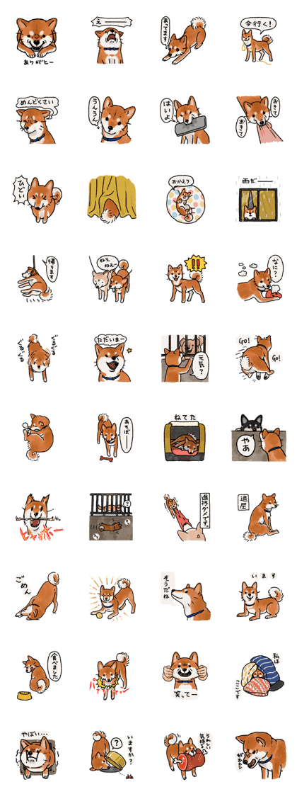 Fuji Shiba Inu 2