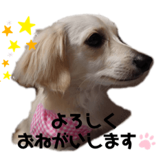 rei_20200307105038