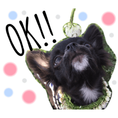 yuina_20200307095611