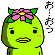 kawacchi