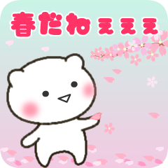 [spring] a shy bear Sticker