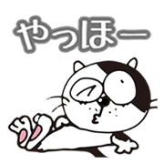 Stray cat Tom-Chan