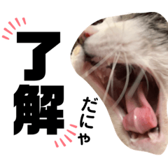 kurumi_20200307181214