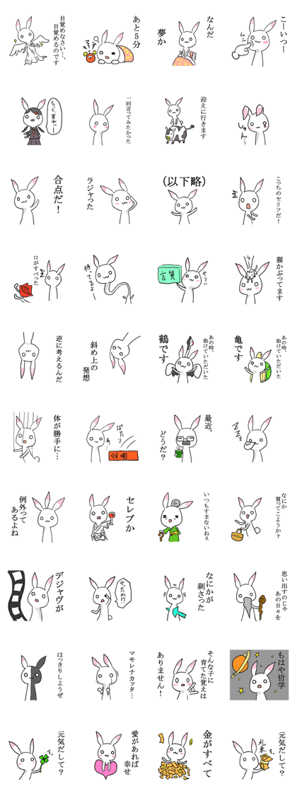 Rabbit of the pink ear 4