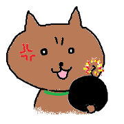A little bit ugly chihuahua KURUKKO
