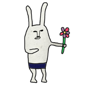 Mr.Nolly