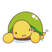 Lovely tortoise