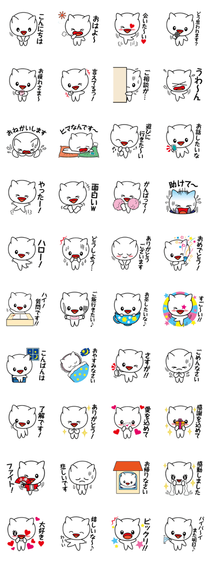 the Big Face White Cat "Shiro-tan"
