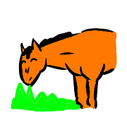 Horse day