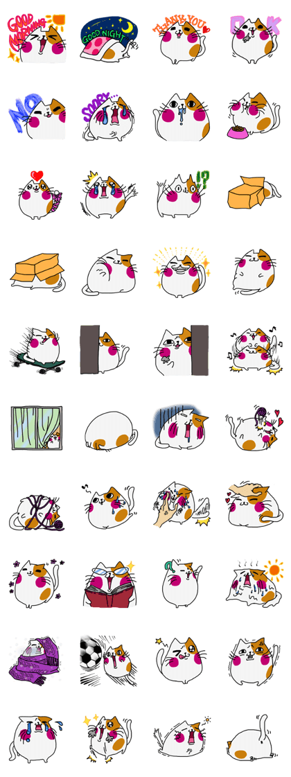 Marshmallow cat maro