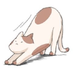 Brown and white bicolor cat talk sticker