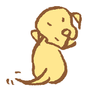 waiting dog