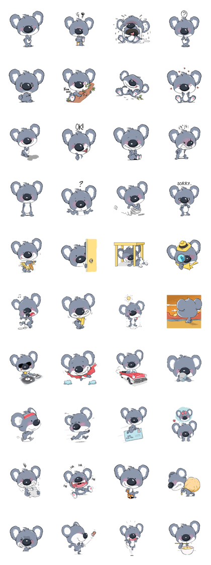 Koalas face extinction His name is Kolly