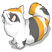 Full cat's
