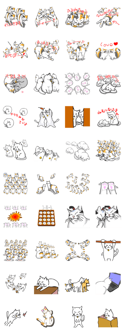 Full cat's