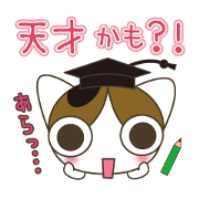 Cat rabi edition